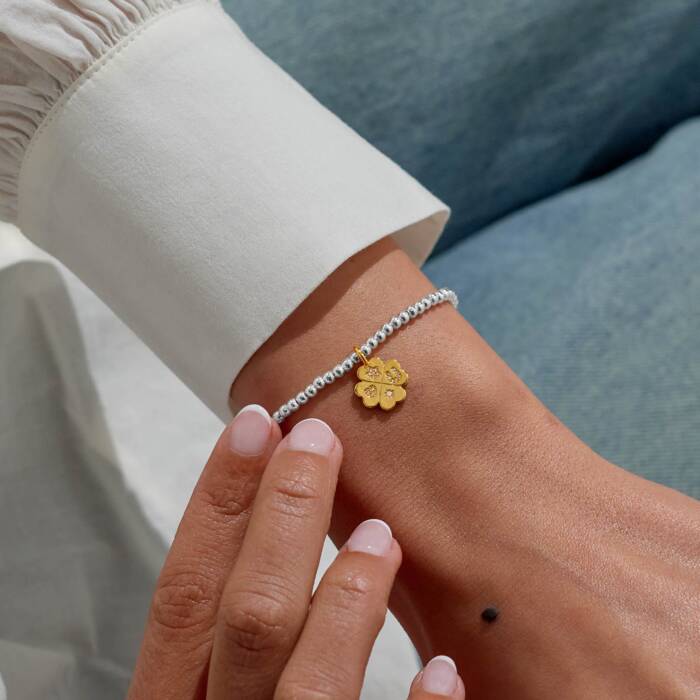 Joma Jewellery A Little Lucky Charm Bracelet