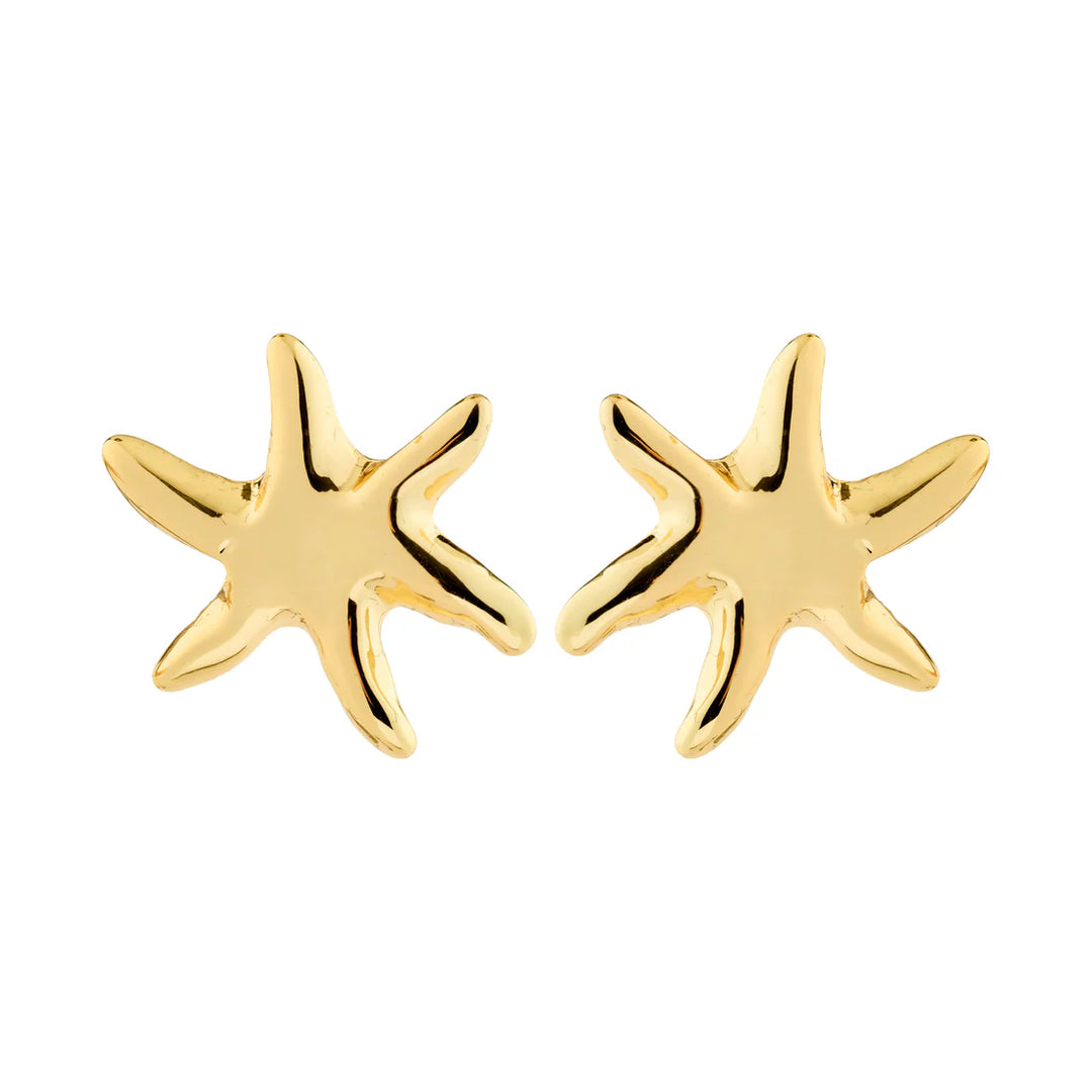 Pilgrim Prism Gold-Plated Earrings