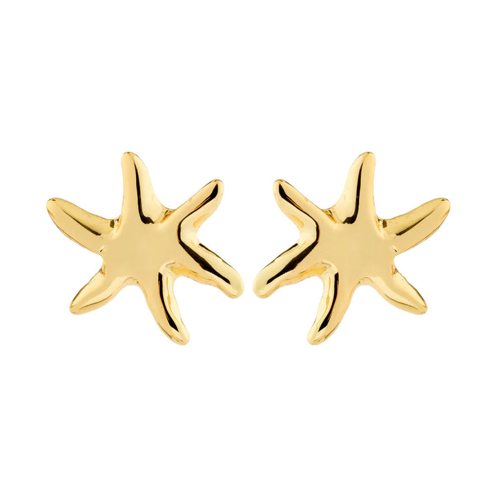 Pilgrim Prism Gold-Plated Earrings