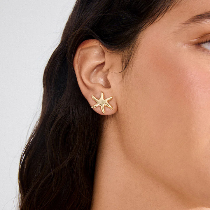 Pilgrim Prism Gold-Plated Earrings