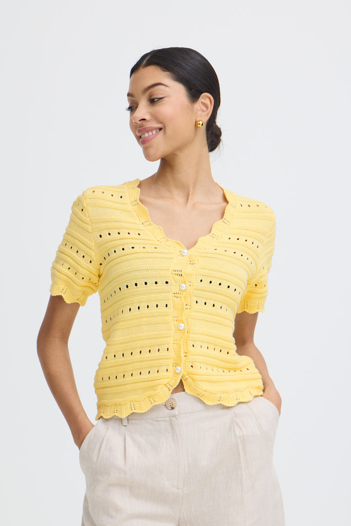 B.Young Naski Short Sleeve Knit- Flan