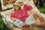 Saint Tropez LarnaSZ Pullover - Fruit Dove