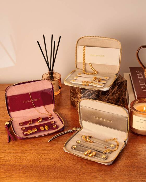 Katie Loxton Slim Jewellery Case