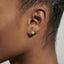 Joma November Birthstone Boxed Earrings