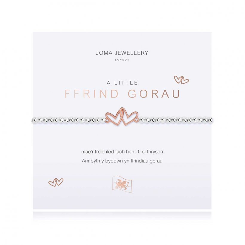 Joma Jewellery A Little Best Friend Bracelet | Welsh |